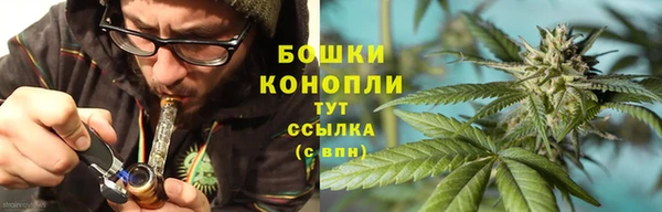 прущие грибы Михайловск