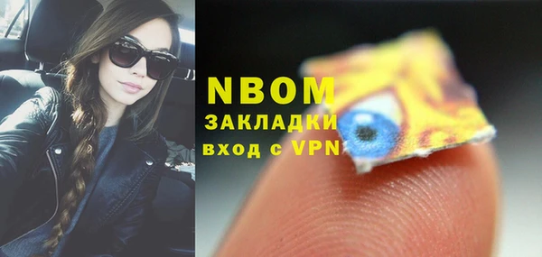 прущие грибы Михайловск
