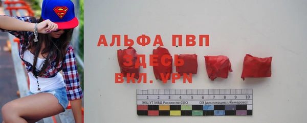 прущие грибы Михайловск
