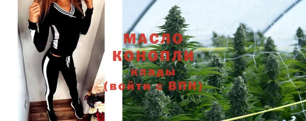 прущие грибы Михайловск