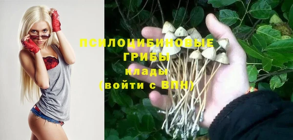 прущие грибы Михайловск