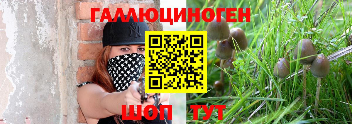 Ярославль  Галлюциногенные грибы Cubensis  Вход с VPN 